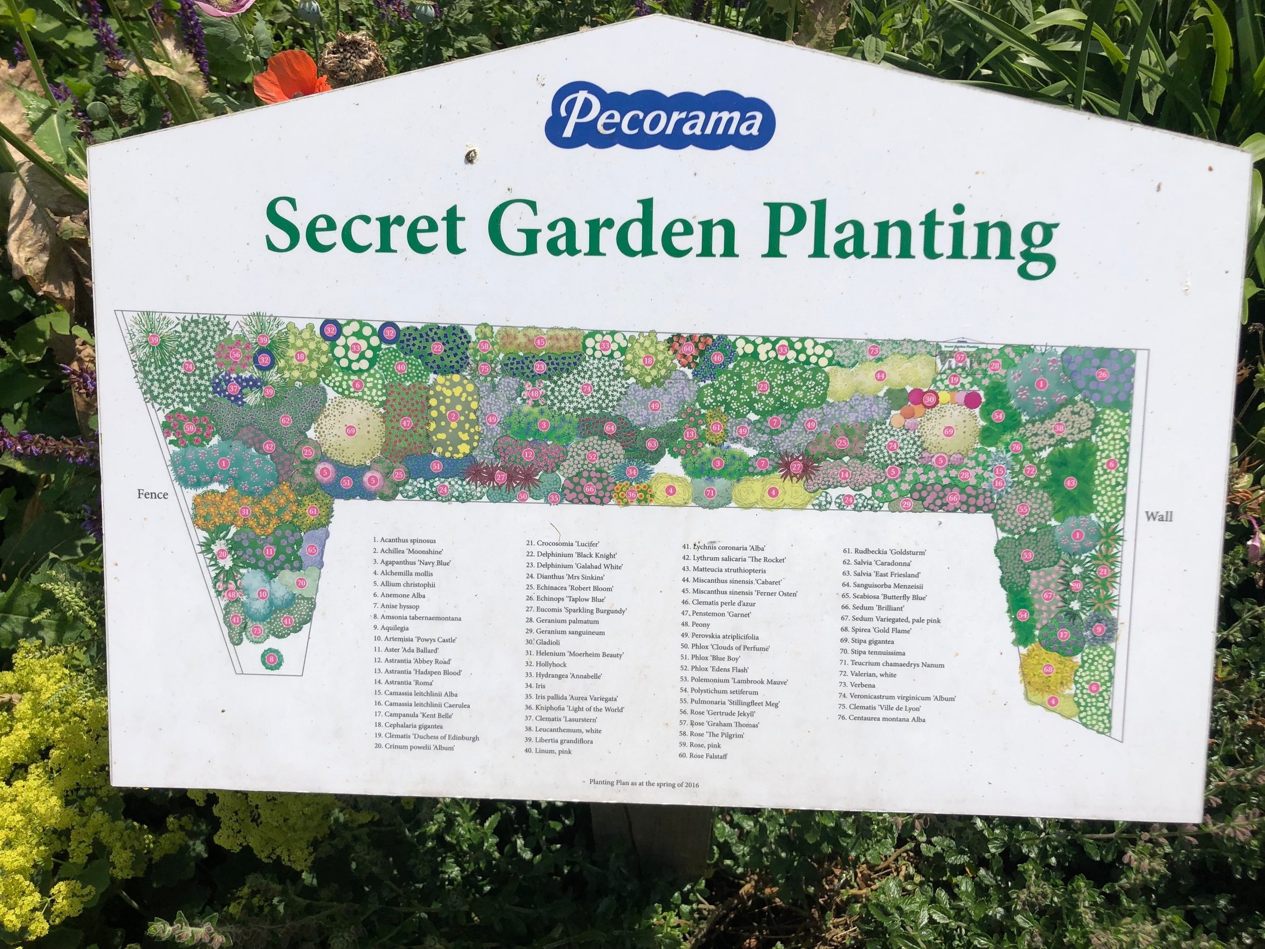 Why Pecorama, Devon, is the Perfect Family Day Out