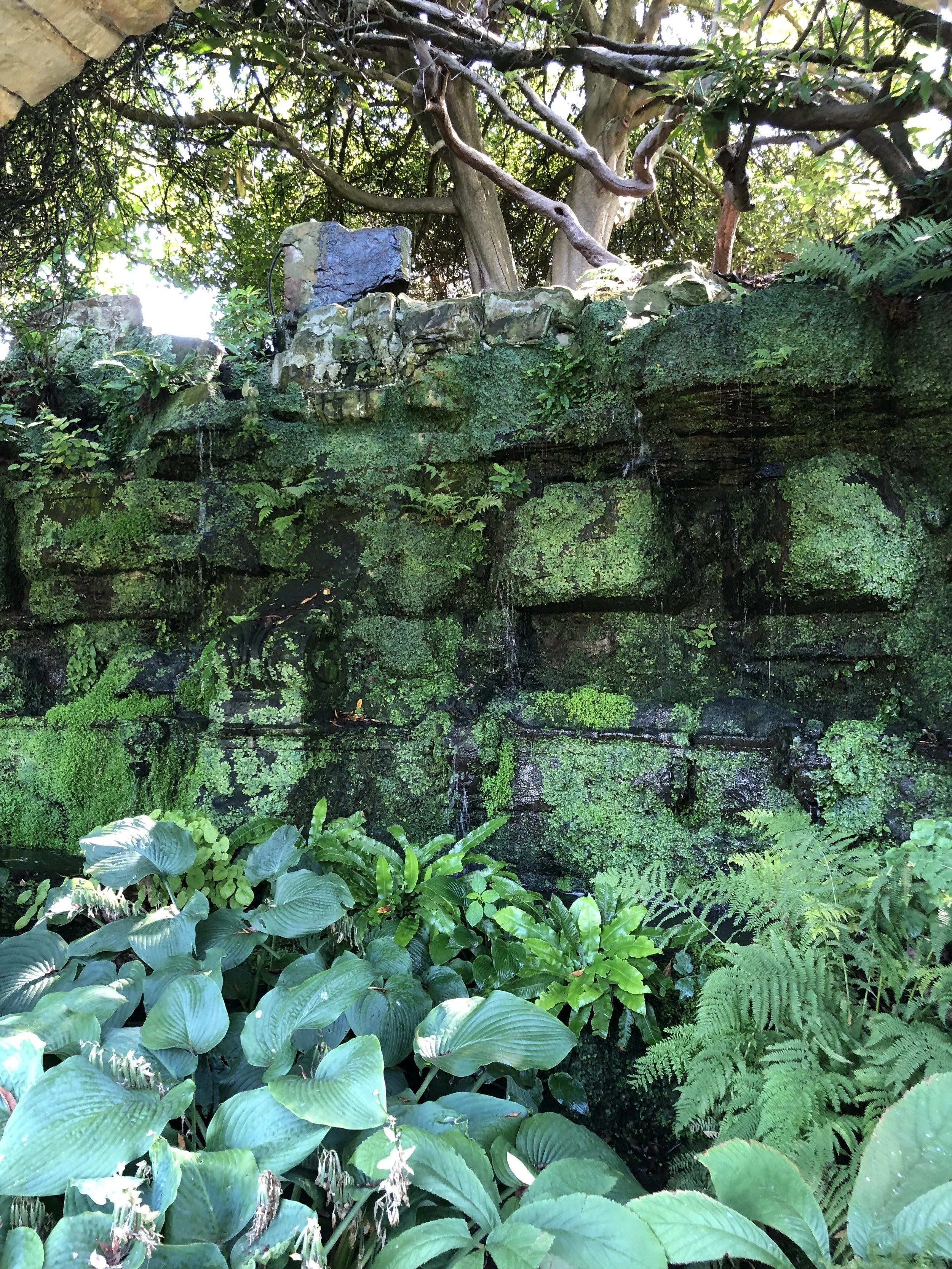 IMG_9374.jpeg
