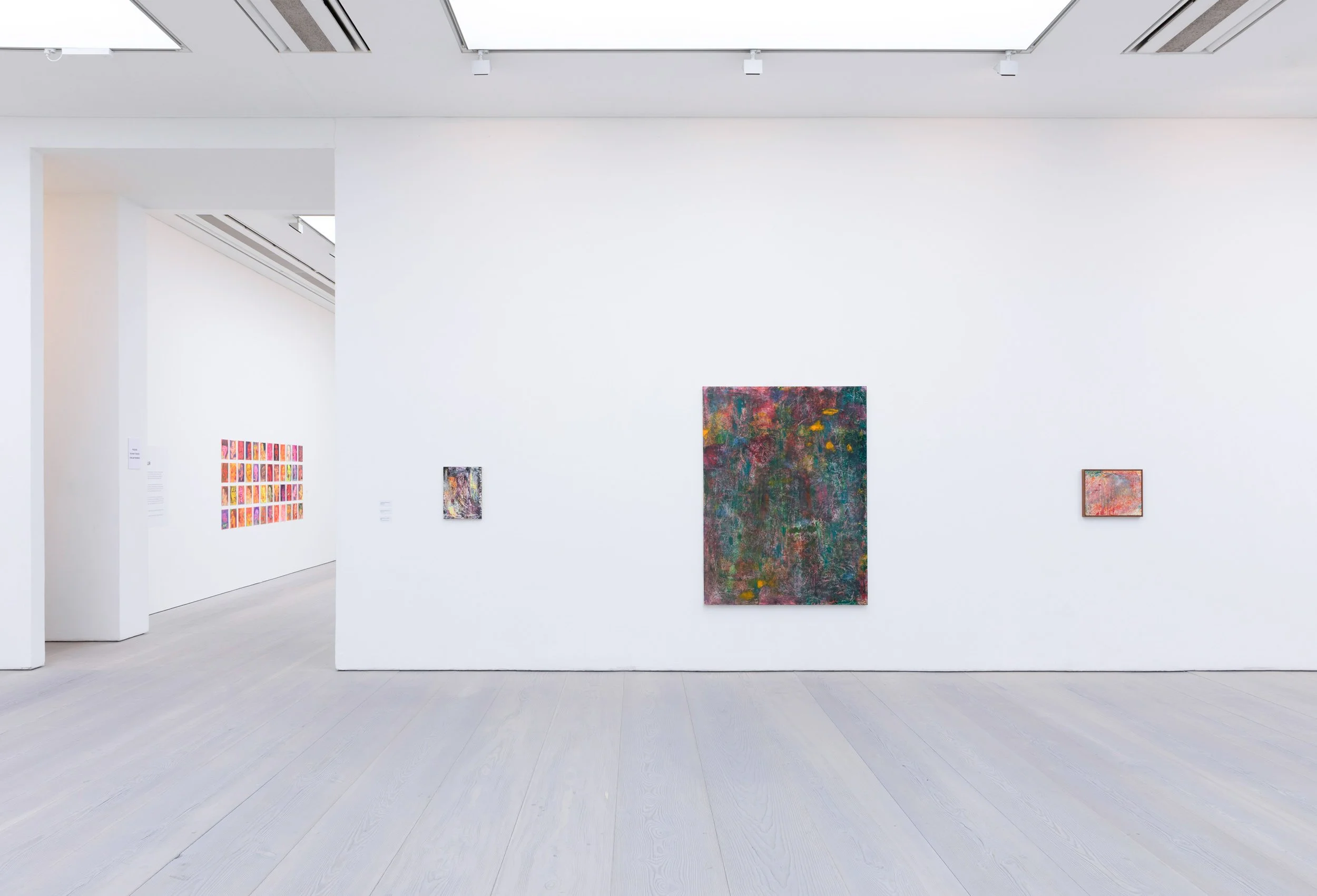  Anna Liber Lewis, Saatchi Gallery, London 