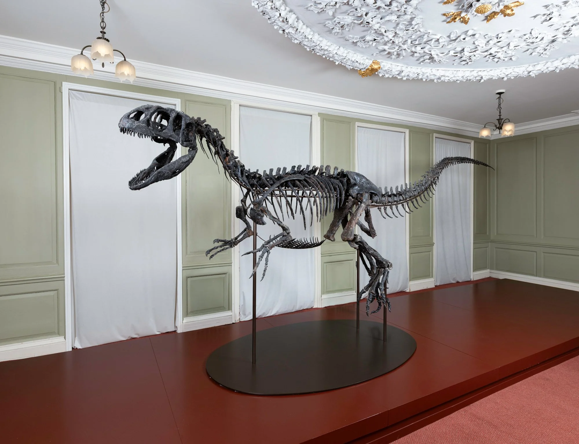  Juliasaurus, Hollytrees Museum, Essex 