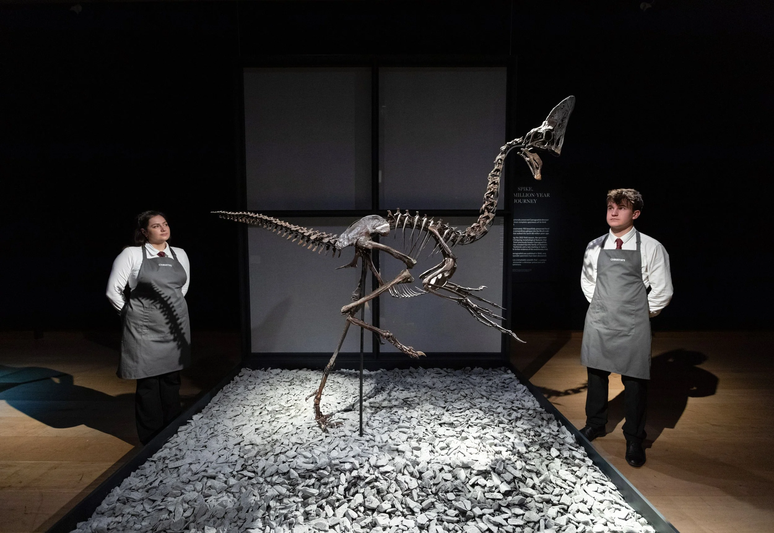  Auction preview, Christie’s, London 