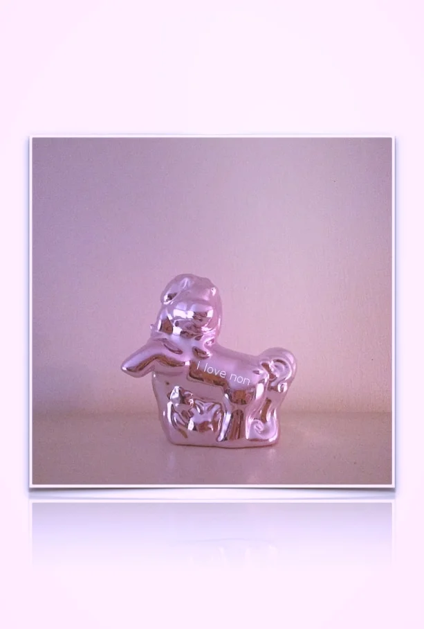NON MAGAZINE the non Jeff Koons