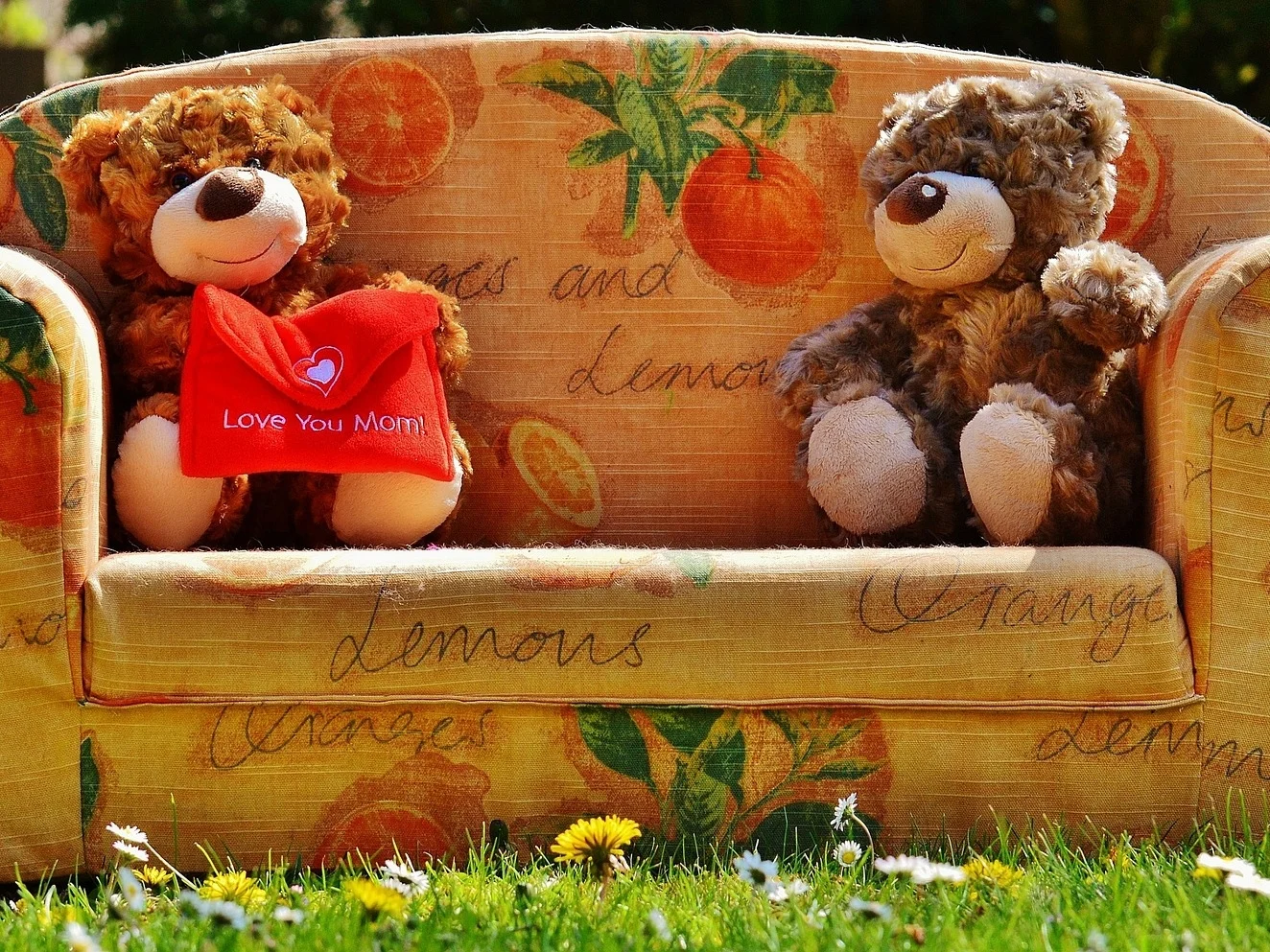 teddy-1364124_1920.jpg