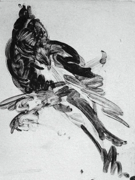 Robin 5X7 - Solarplate