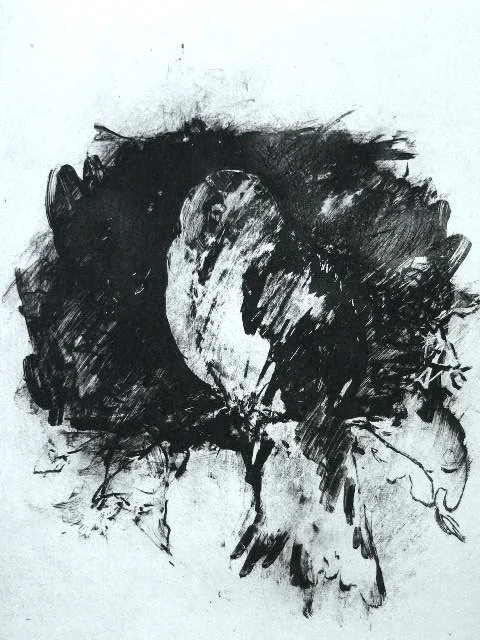 Rain 8X10 - Solarplate