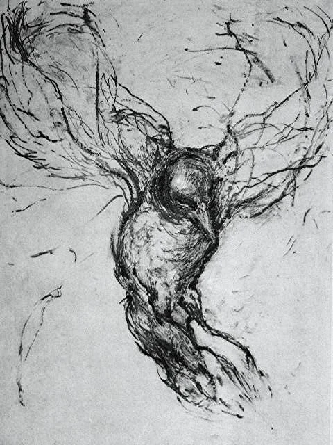 In Flight 8X10 - Solarplate