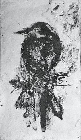 Perched 6X10 - Solarplate