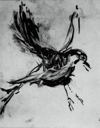 Flight 1 8X10 - Solarplate