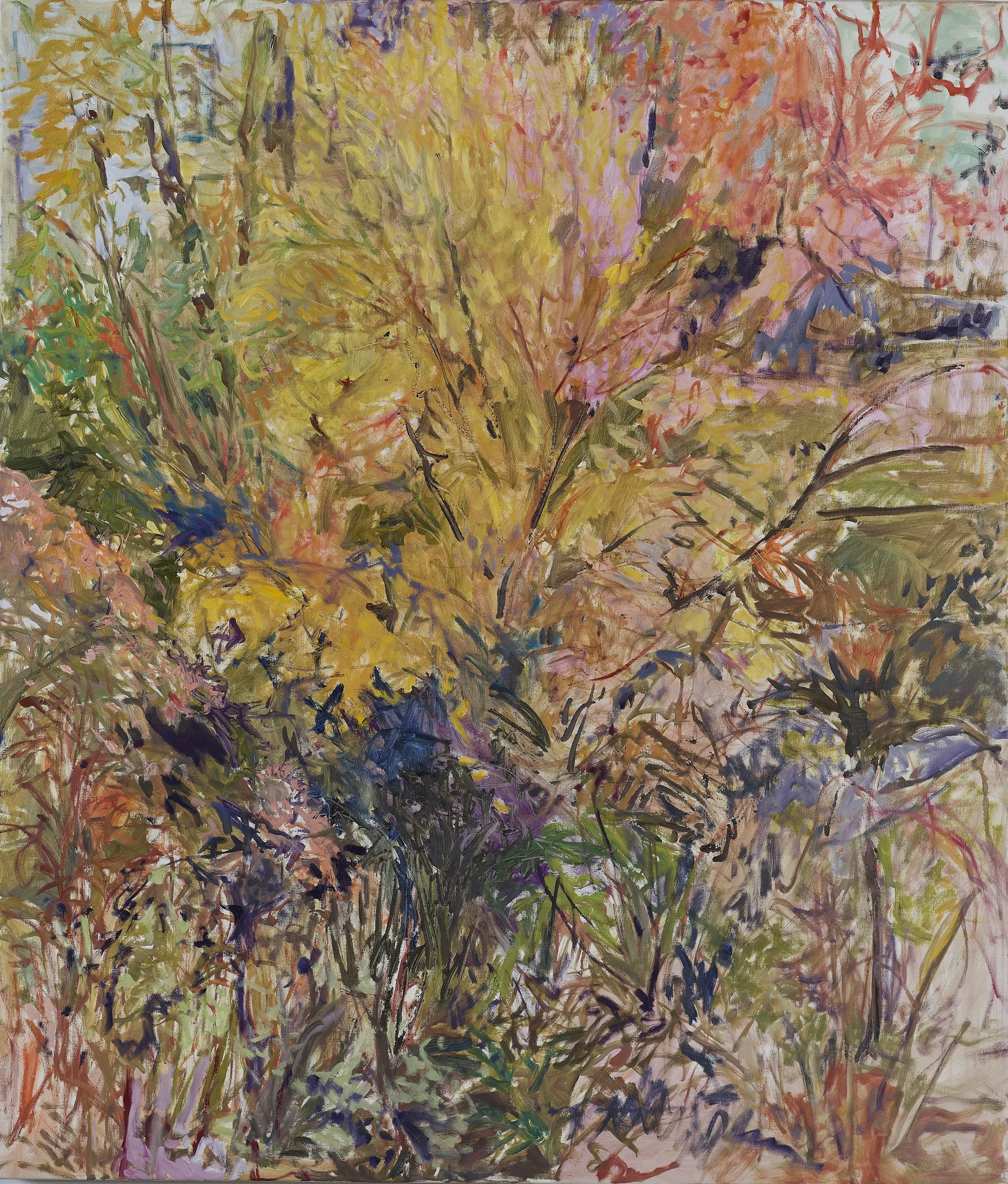 Fall Magnolia and brush50x43 inches.JPG