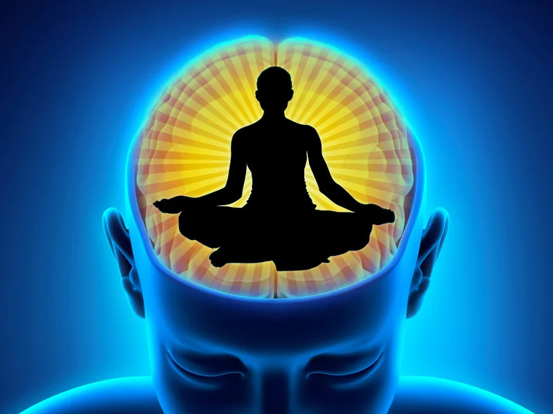 brainmeditation.jpg