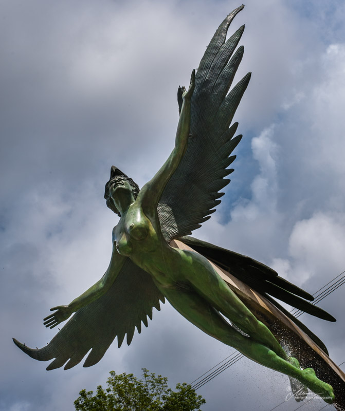 Photo of Angel in flight