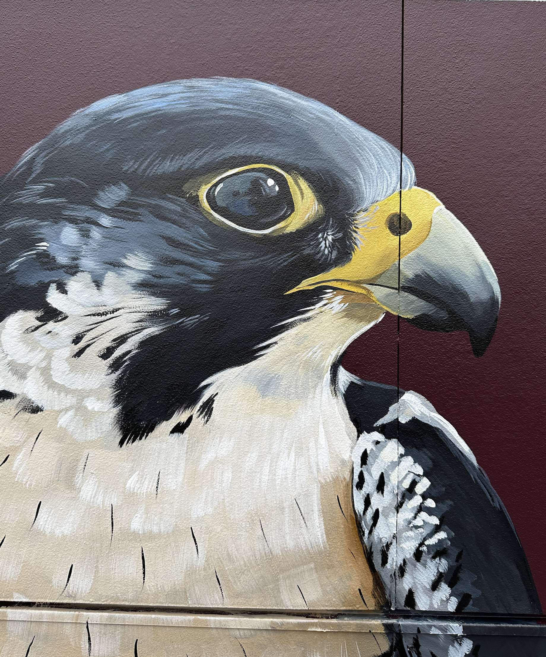 Screenshot 2026-04-12 at 8.50.05 AM.png