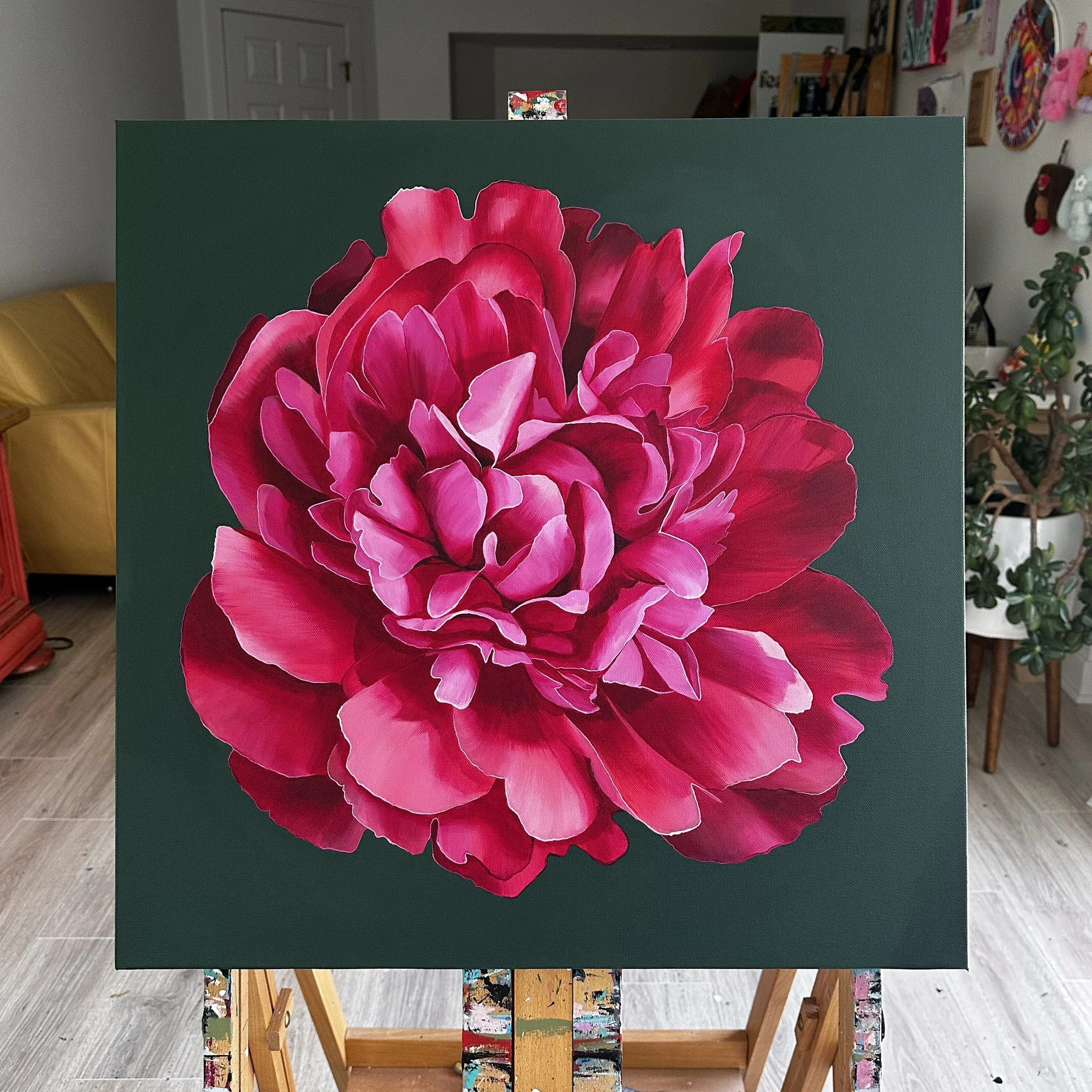 Fuschia 2.jpg