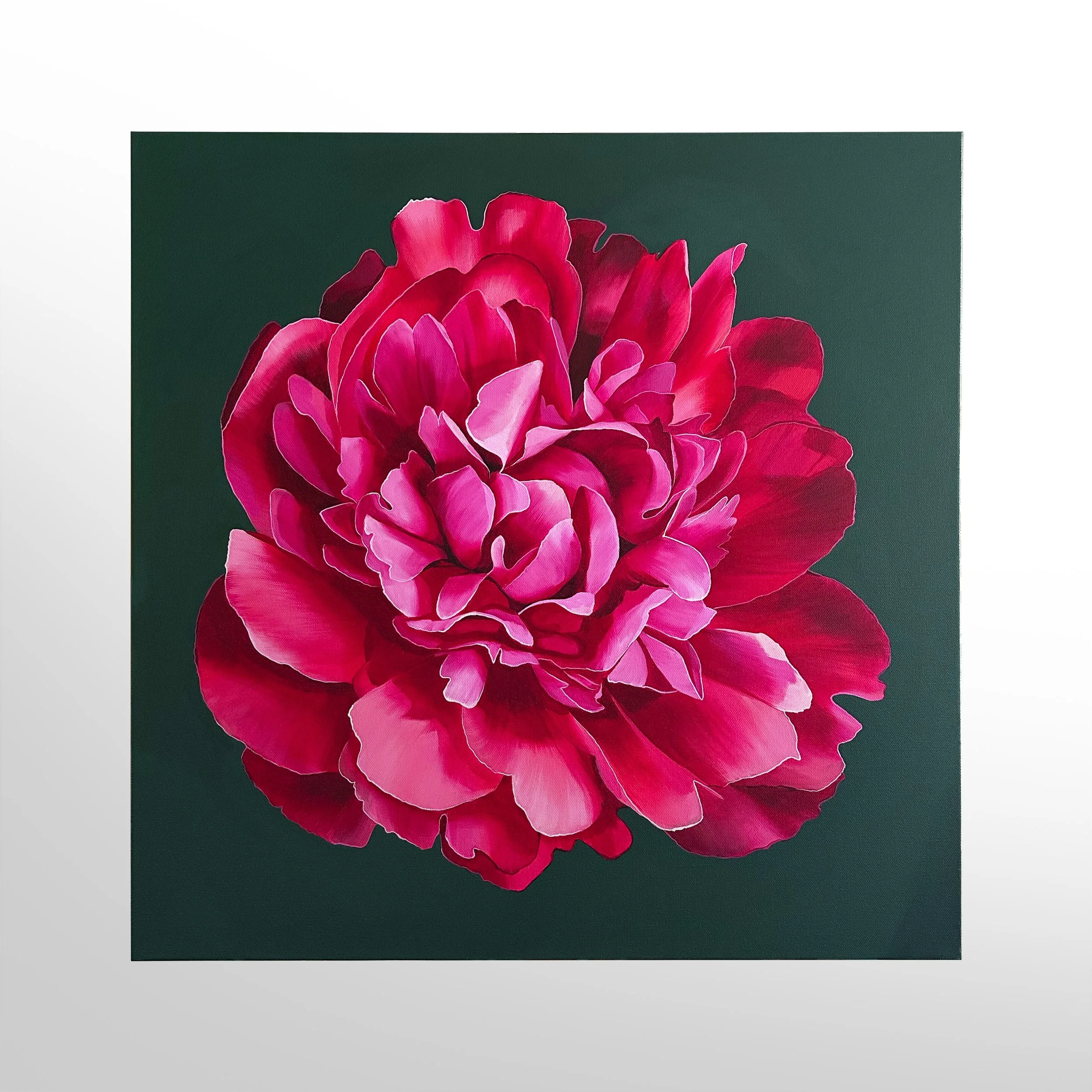 Fuschia.jpg