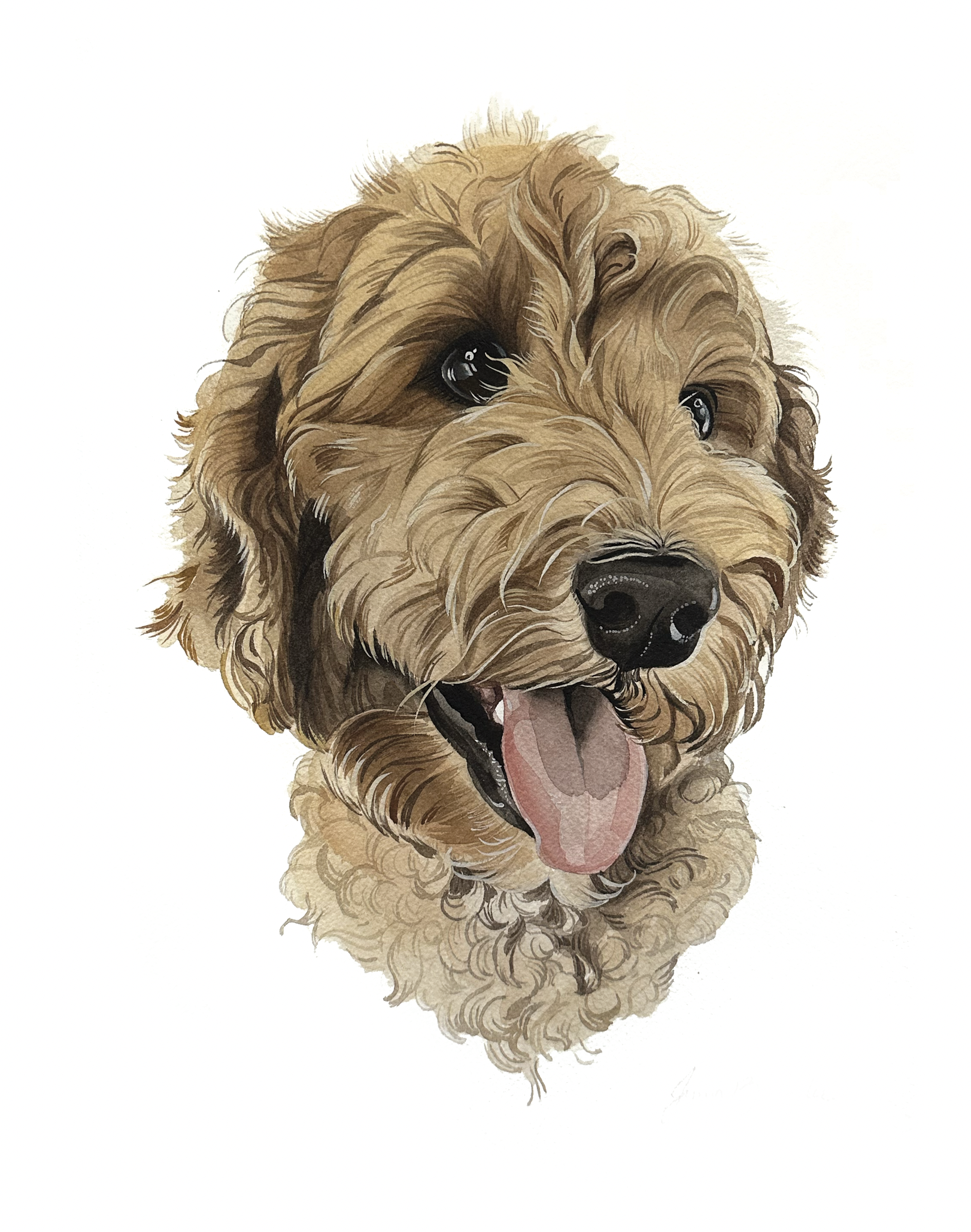 Screenshot 2025-01-09 at 1.35.24 PM.png