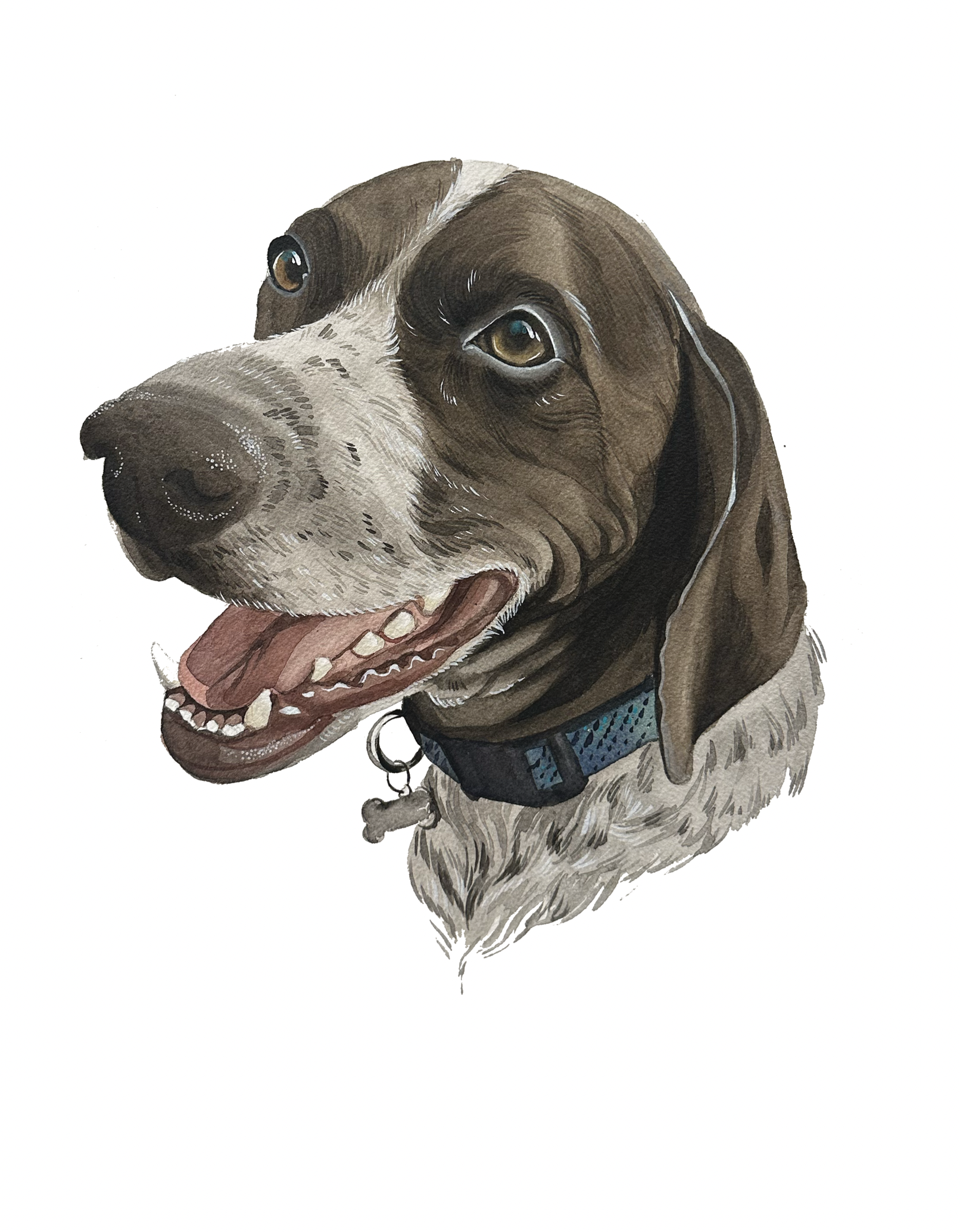 Screenshot 2025-01-09 at 1.34.28 PM.png