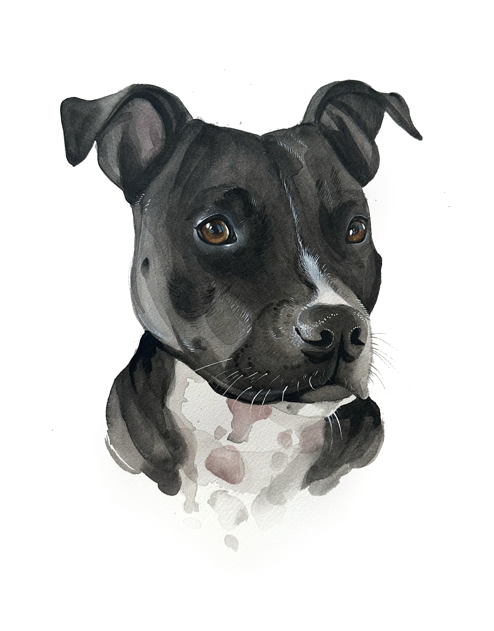 Screenshot 2025-01-09 at 1.35.07 PM.png