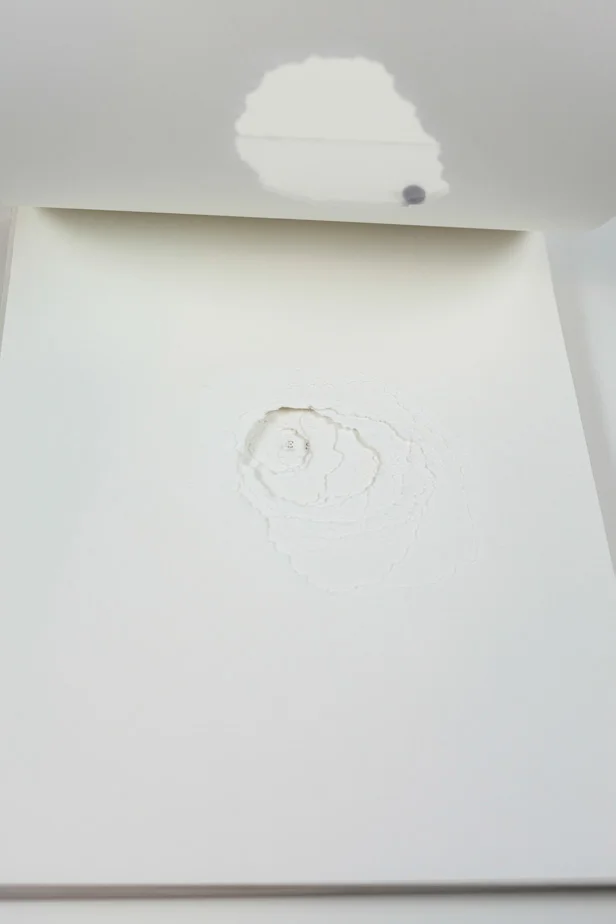 Carolina-Pimenta-One-Shot-Artist-book_003.jpg