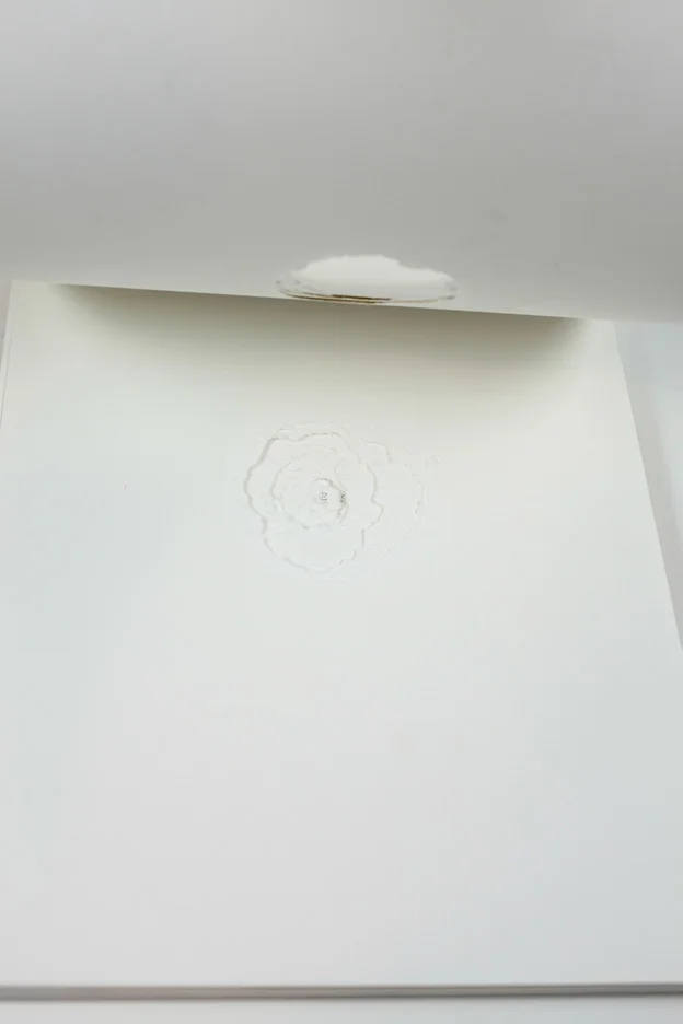 Carolina-Pimenta-One-Shot-Artist-book_010.jpg