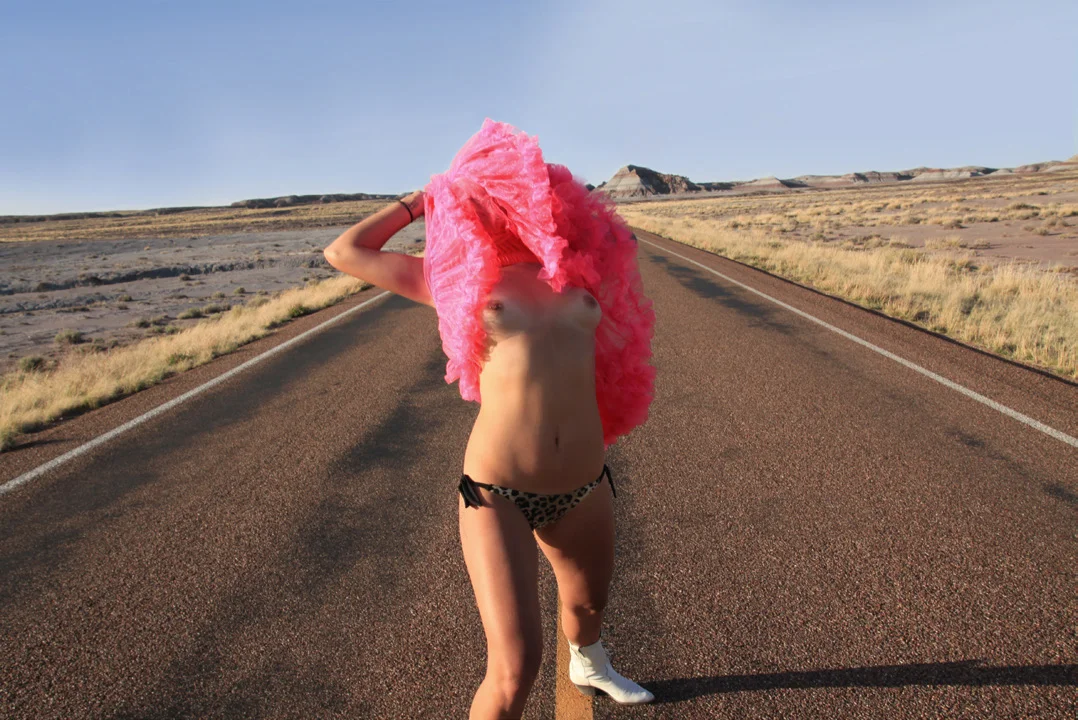 Travelling Tutu II