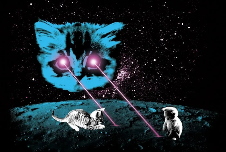 Chat laser.jpg