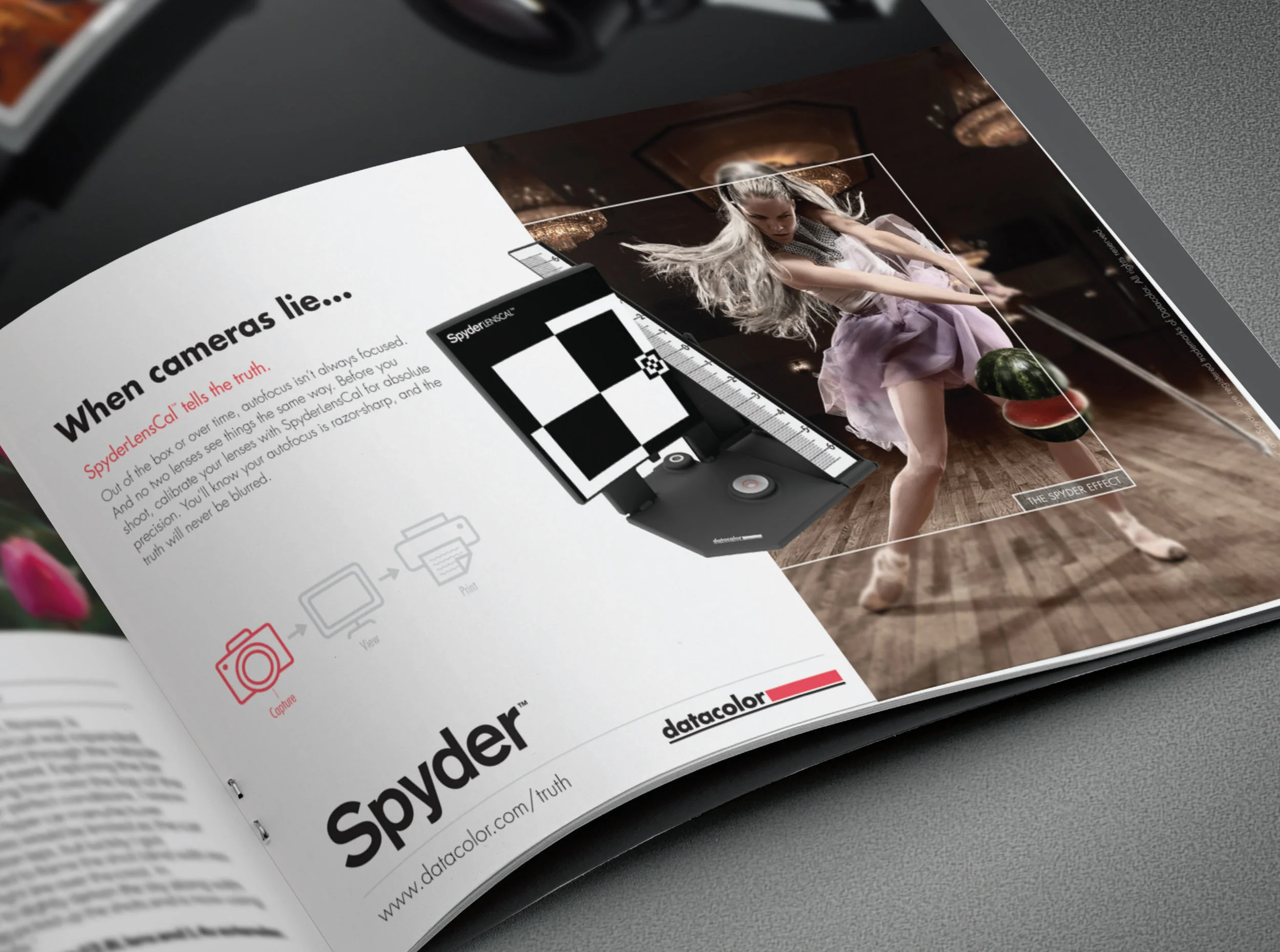 OCD_PortfolioImages_900x670_Spyder3.jpg