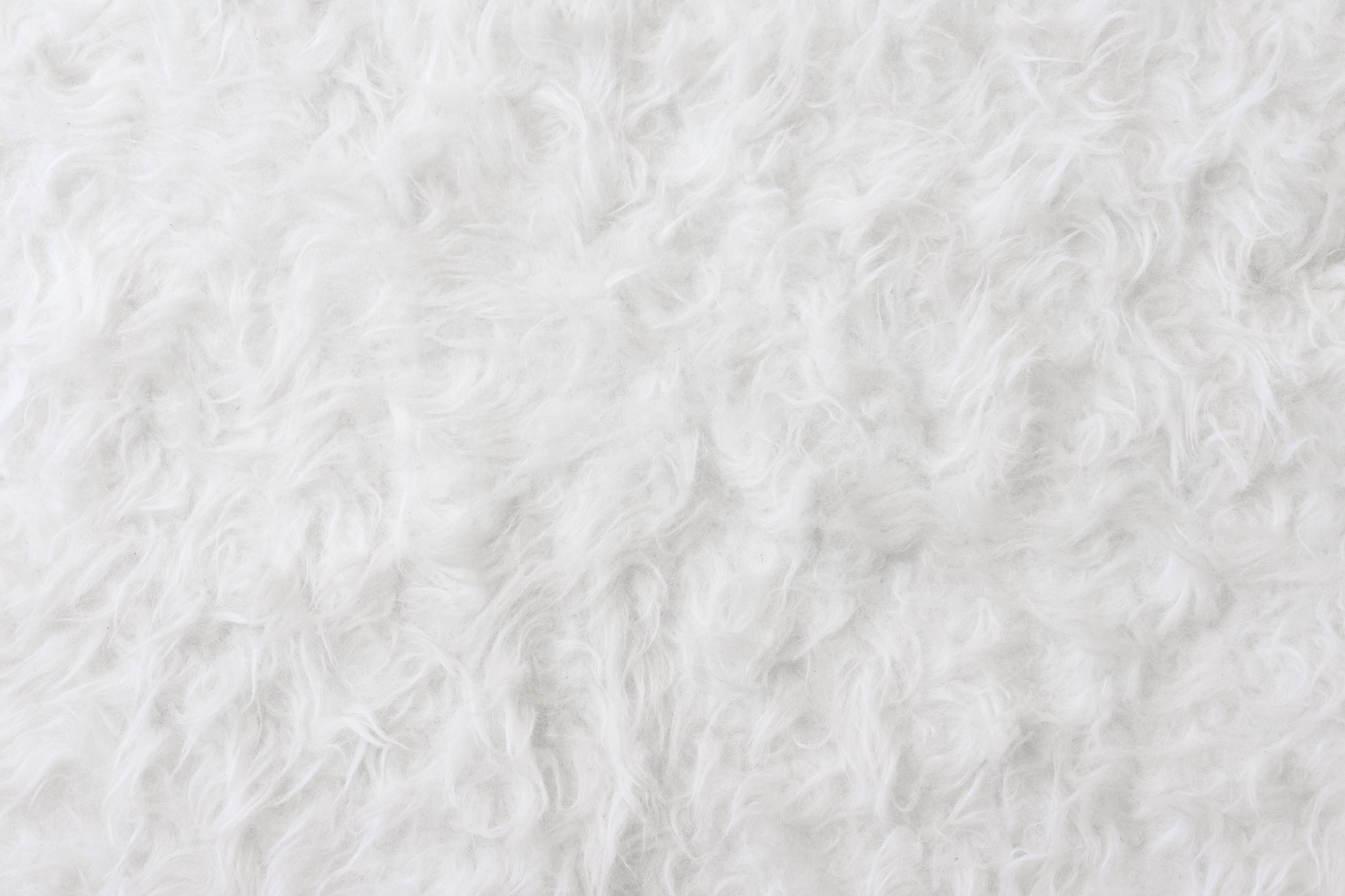 white-eco-fur-pattern-background-picjumbo-com.jpg