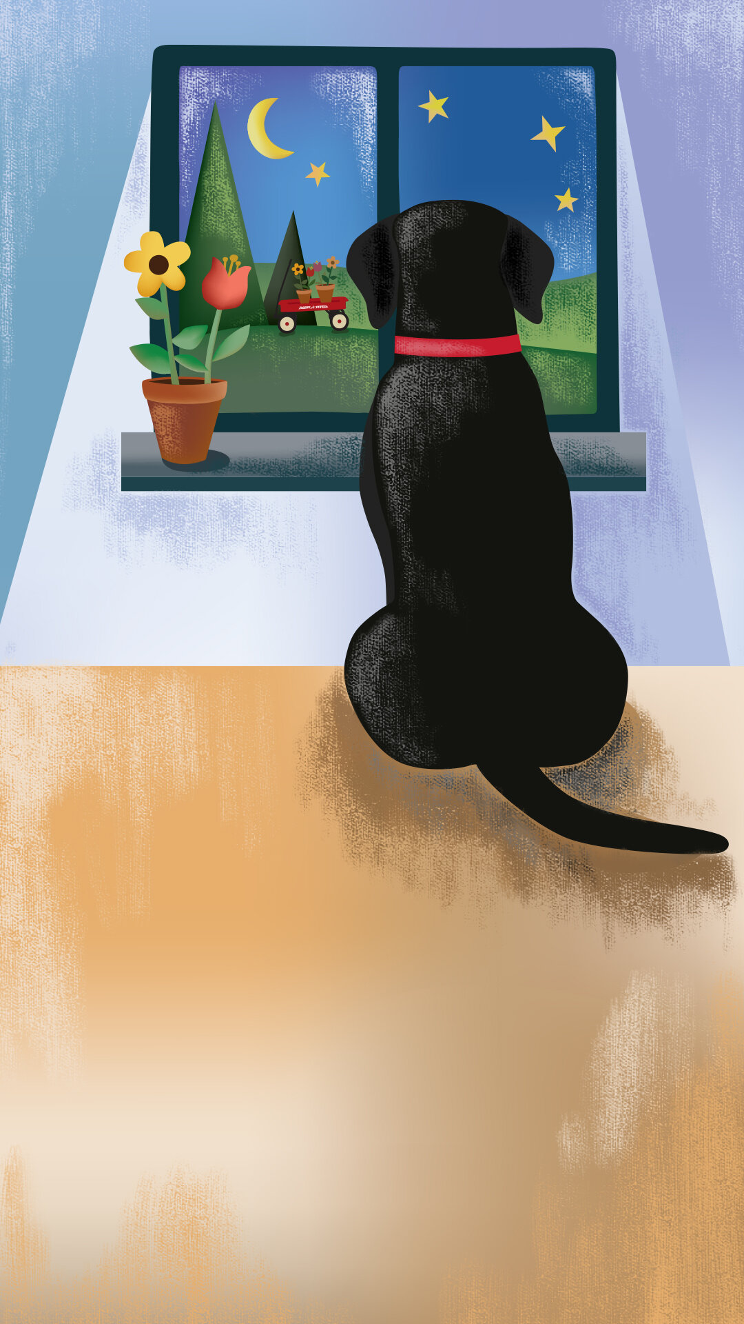 lookingoutwindow_gradient_straight.jpg