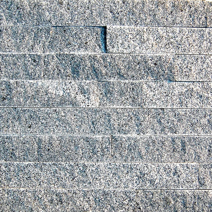 Molokai Splitface