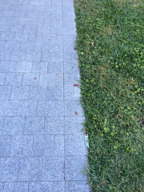photo+1.JPG