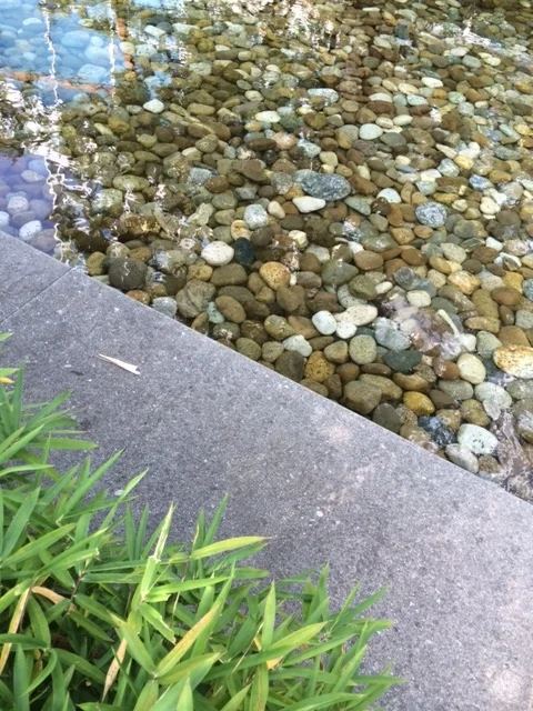 photo+1.JPG