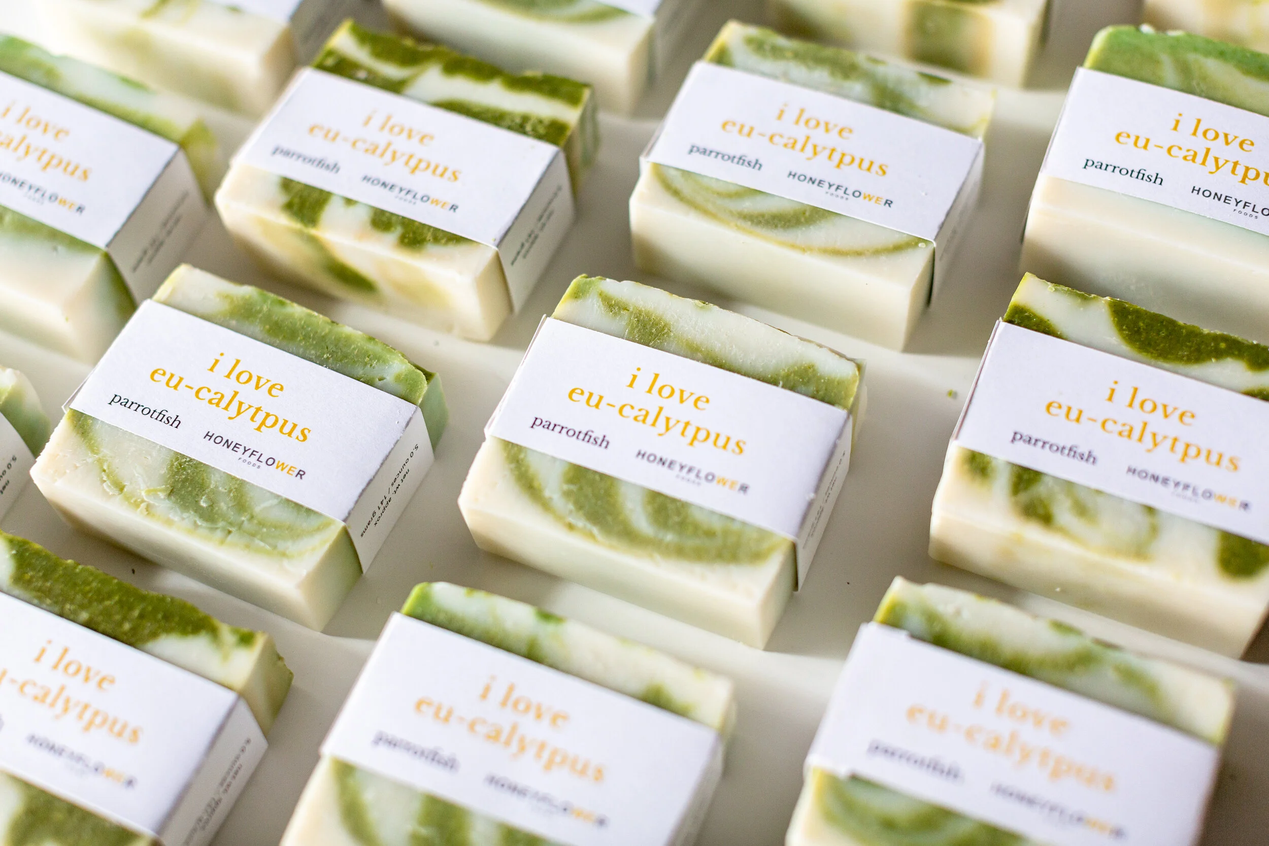 New Soap Bar with Parrotfish