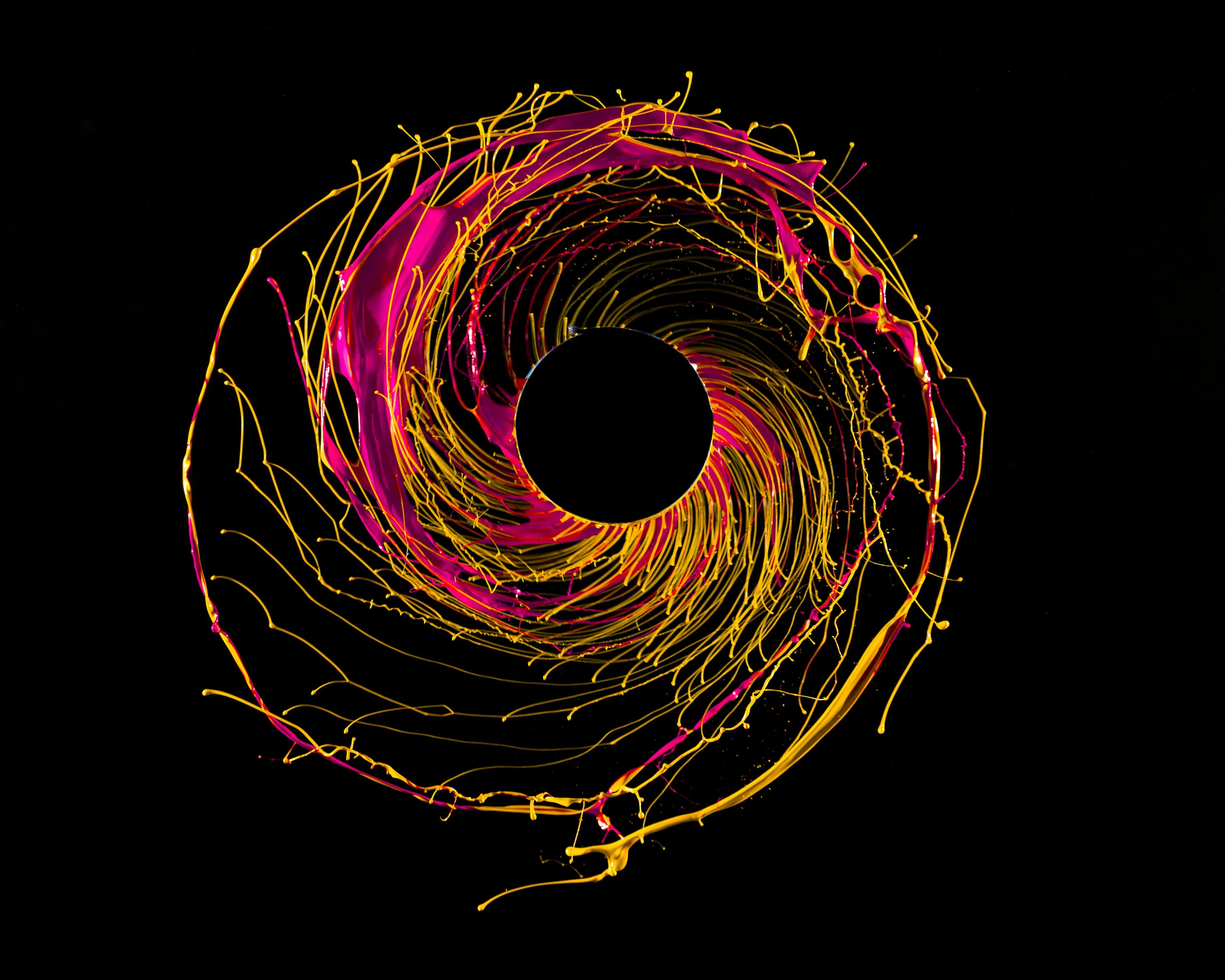 PAINT IN MOTION