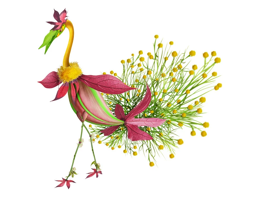 Bird_001B.jpg