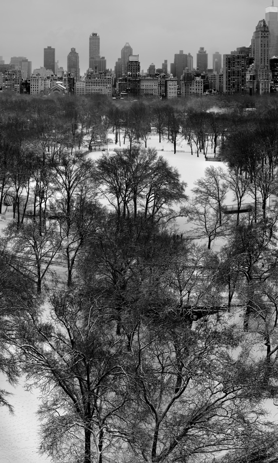 CENTRAL PARK