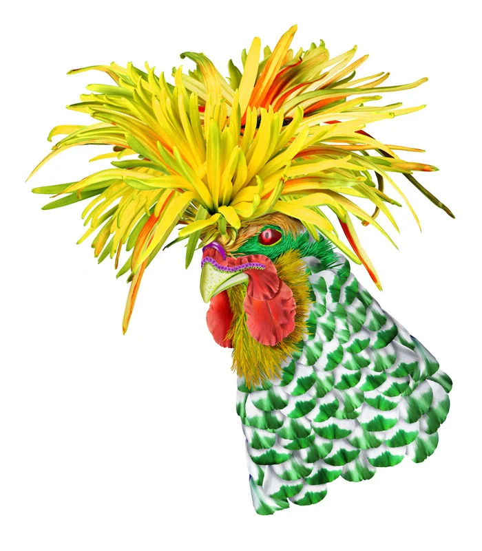 Cock_01.jpg