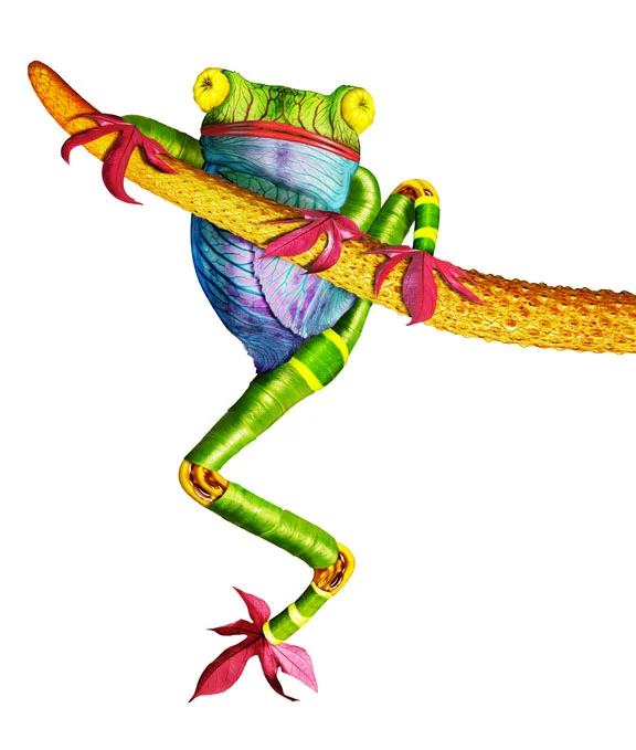 Frog_02.jpg