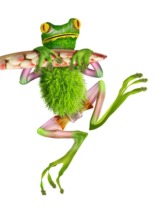 frog_07.jpg