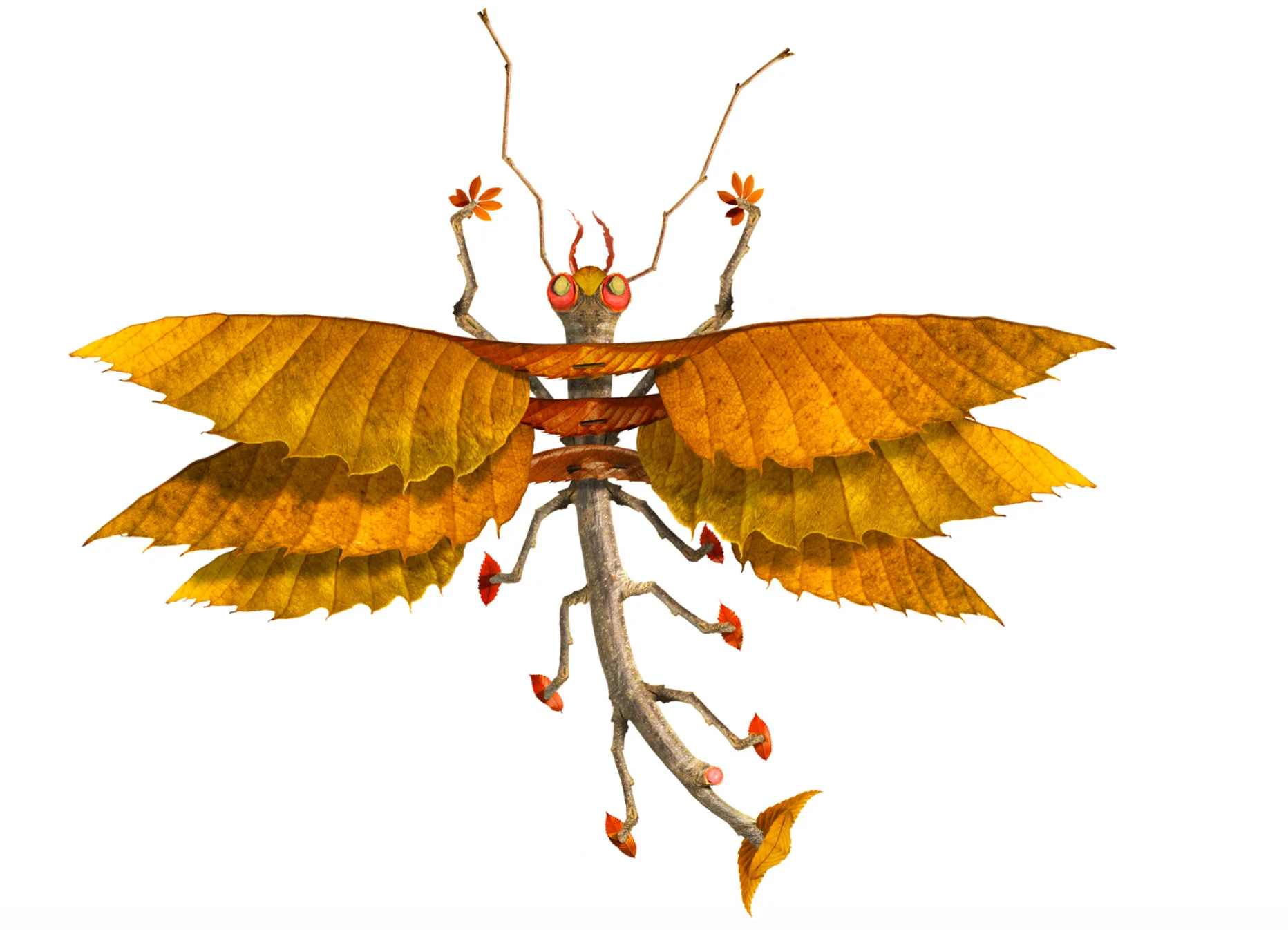 DRAGONFLY.jpg