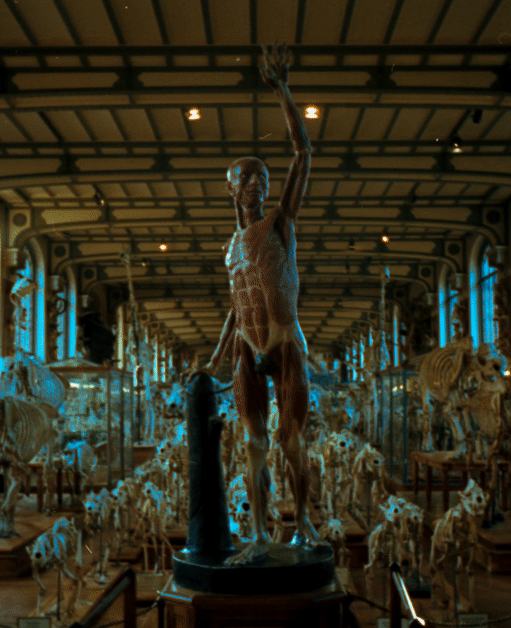 NIMSLO3D_ROLL1_10.gif