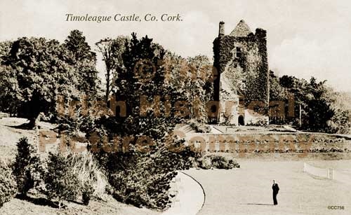 Timoleague Castle.jpg