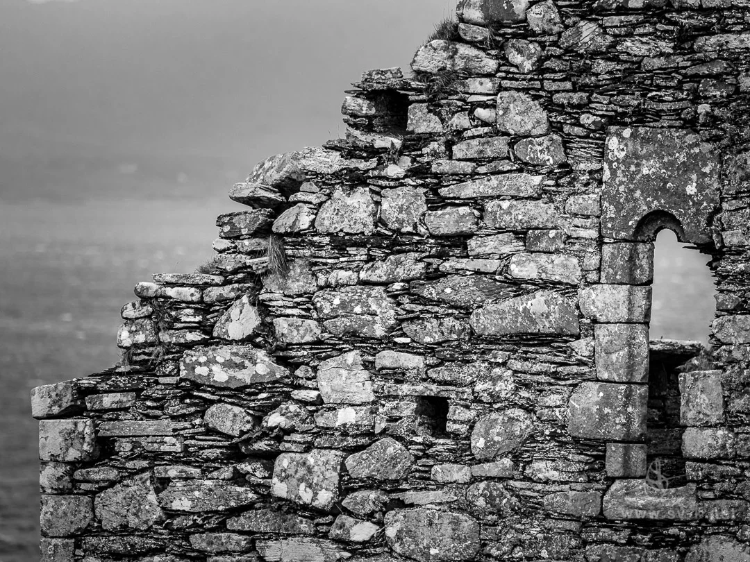 crowleyclan2016-1360305-2.jpg