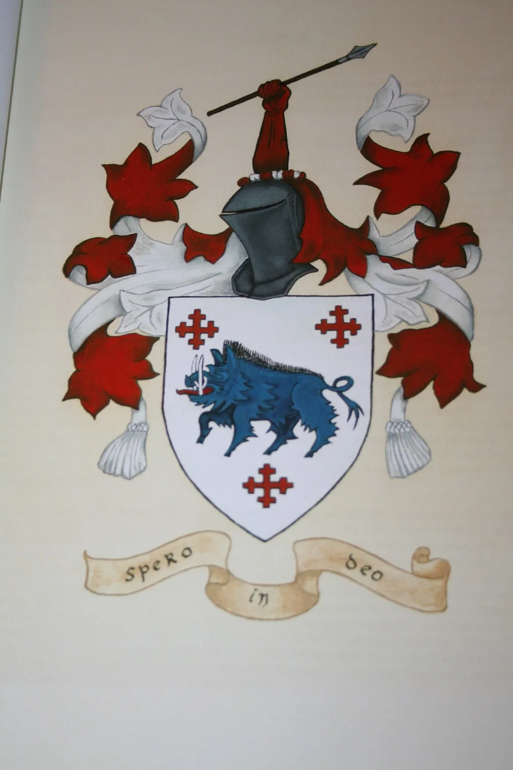 O’Crowley Chief Coat of Arms per records since 1562