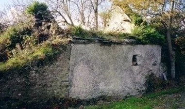 Original farm house now a ruin. It is believed all Cornelius and Ellen Crowley’s children were born in this old farmhouse 1840s and 1850s