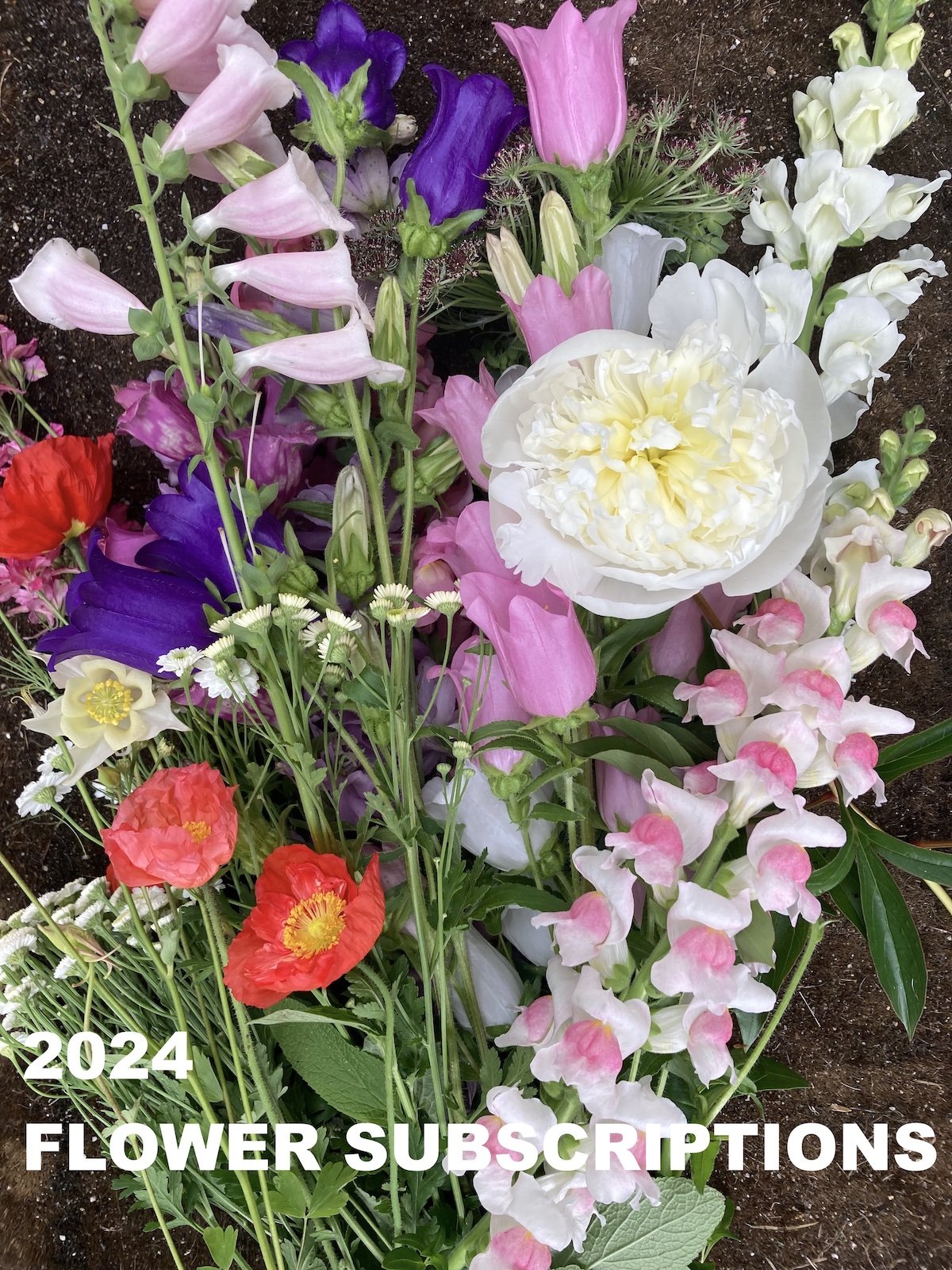 Meristem stop 35 flower subscriptions 2024.jpg