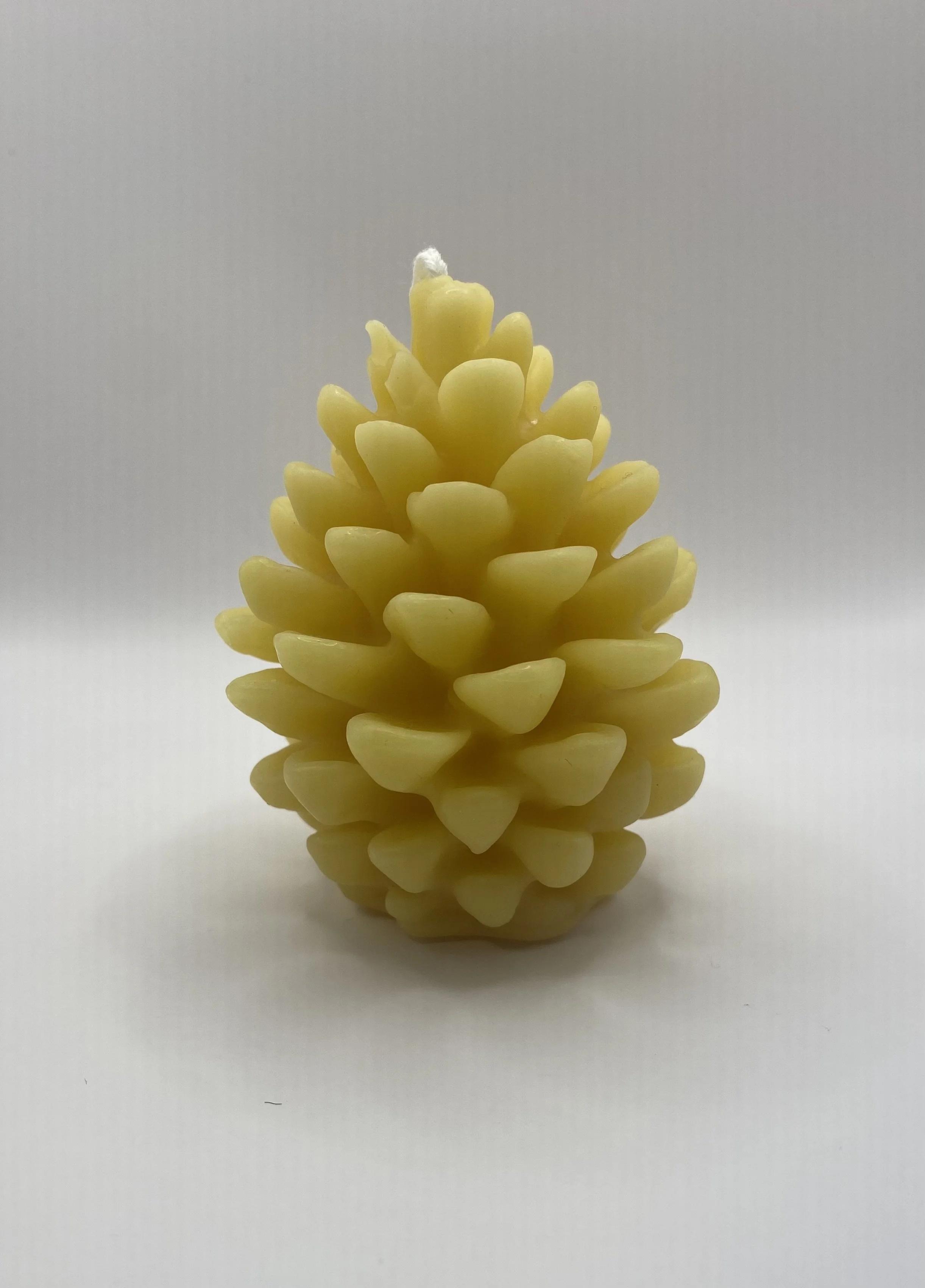 image5.jpeg
