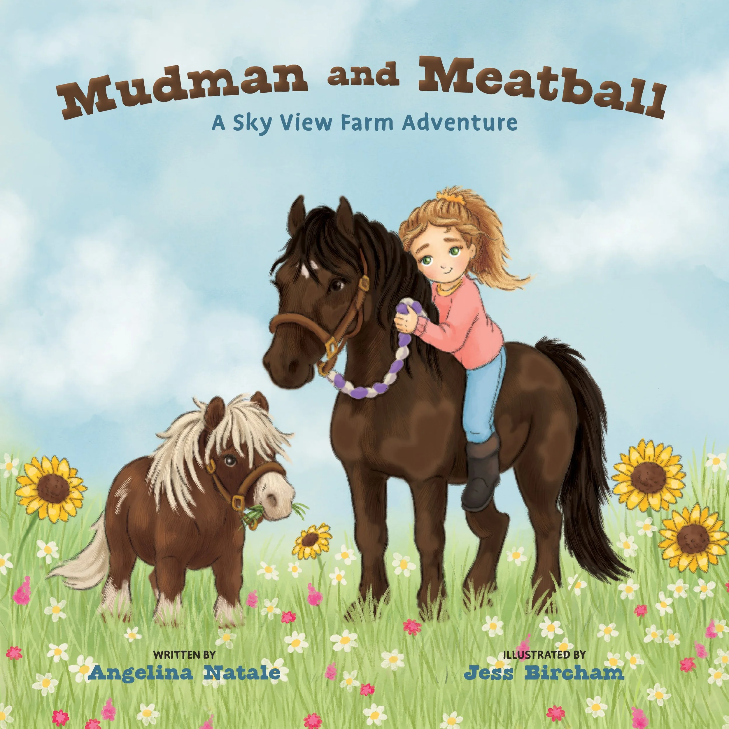 Sky View Farm -Mudman & Meatball cover.jpg