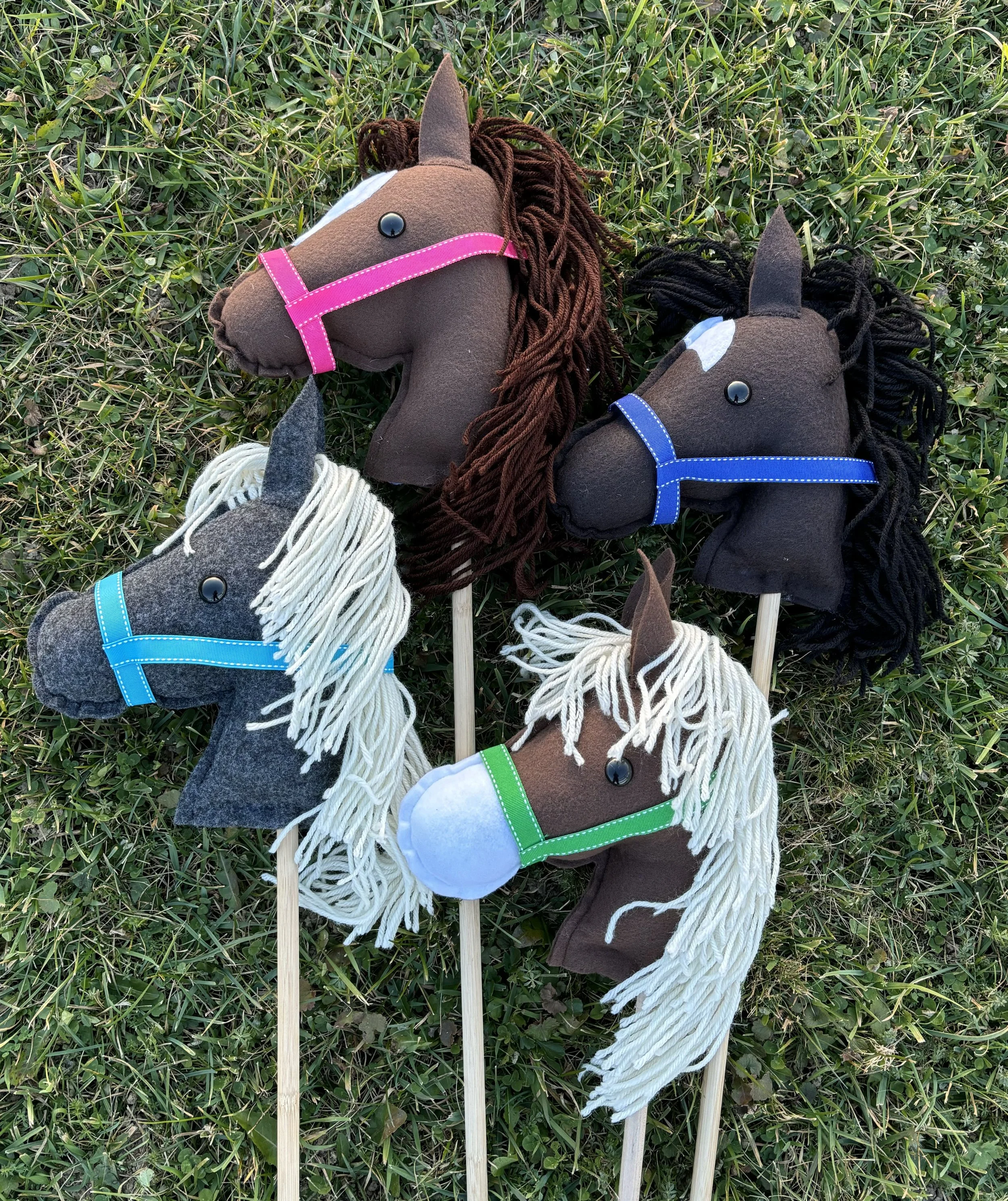 Sky View Farm-hobby horses.jpg