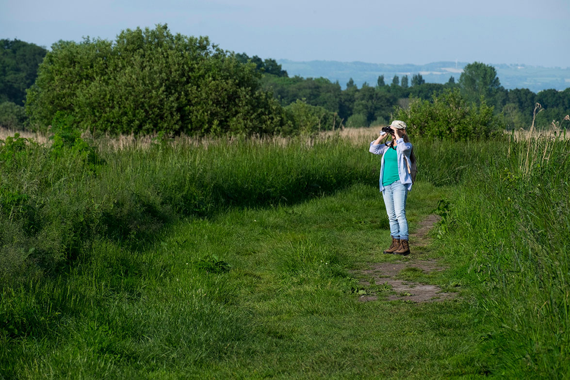 Woman birdwatching.jpg