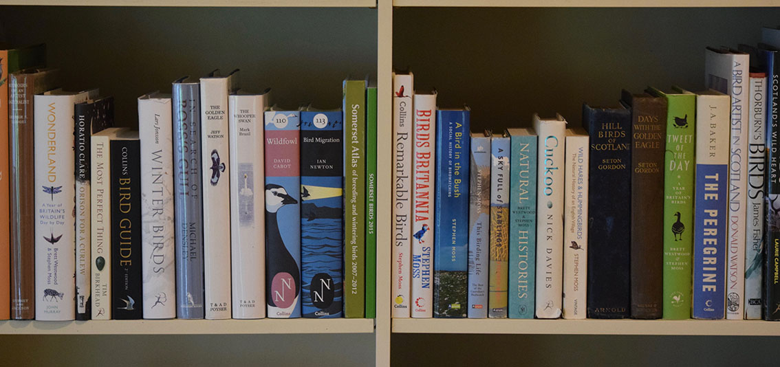 Bird Books.jpg